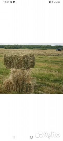Сено в тюках
