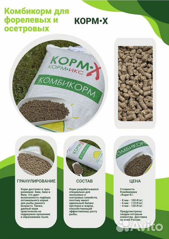 Корм для форели и осетра