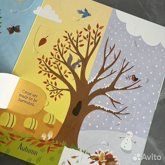 Usborne Lift-the-Flap Nature Greenwell Jessica