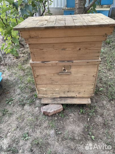 Улей для пчел