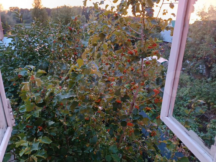 Дача 60 м² на участке 3 сот.