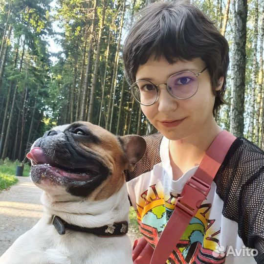 Выгул собак, догситтер, зооняня