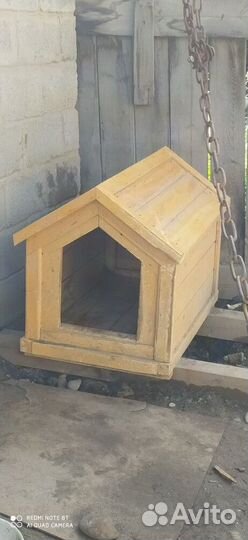 Собачья будка