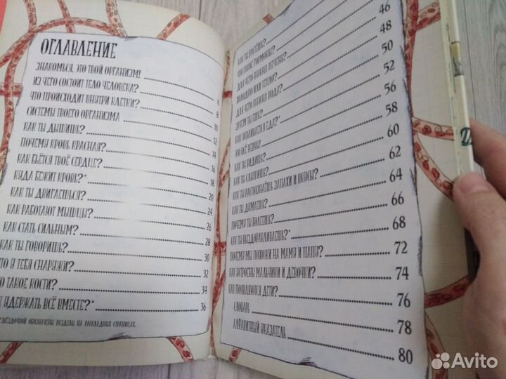 Книга Большое путешествие по телу человека