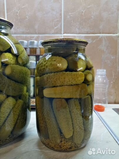 Соленья домашние