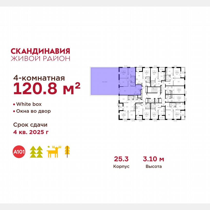 4-к. квартира, 120,8 м², 2/17 эт.