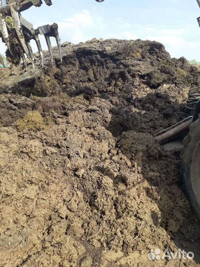 Навоз, перегной