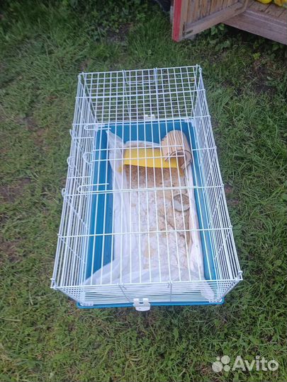 Клетка для хомяка