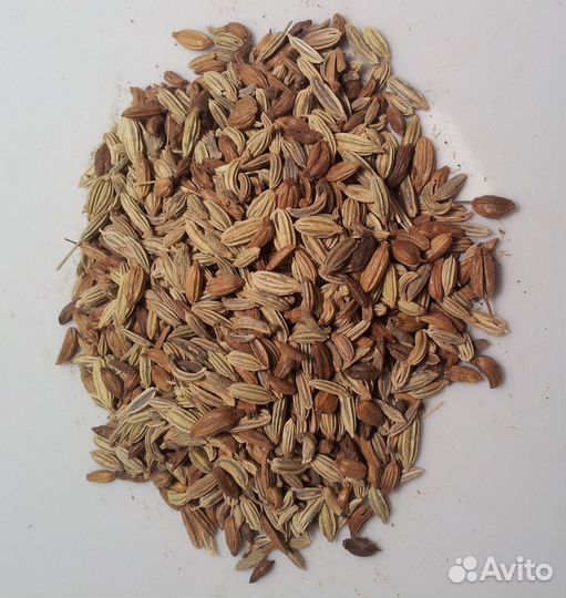 Фенхель (семена)