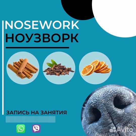 Ноузворк NoseWork