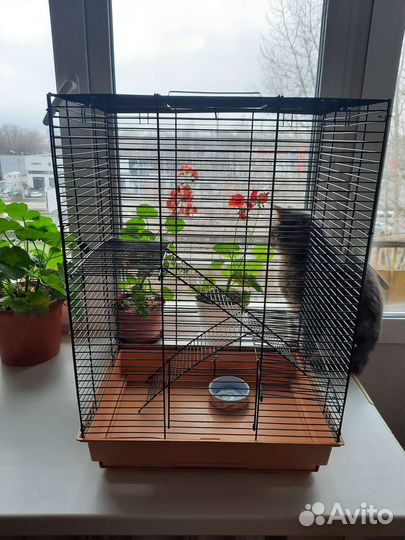 Клетка для грызунов бу