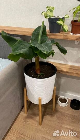 Подставка для цветов