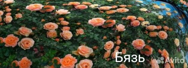 Постельное белье на заказ