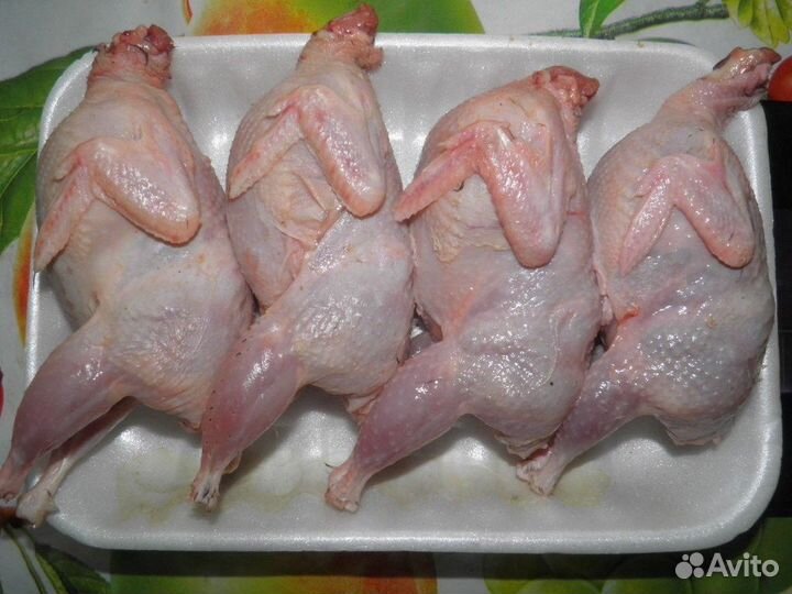 Перепелки тушки, корм для животных