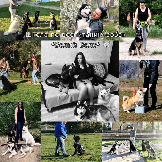 Дрессировка и Зоопсихология (Кинолог+Ветеринар)