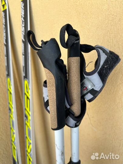 Беговые лыжи fischer