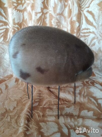 Шапка зимняя из нерпы