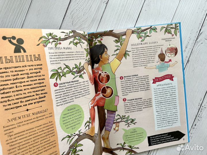 Как устроено Детские книги