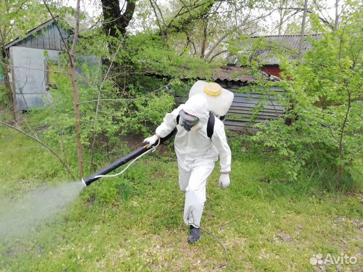 Травим тараканов, клопов, клещей, блох и др