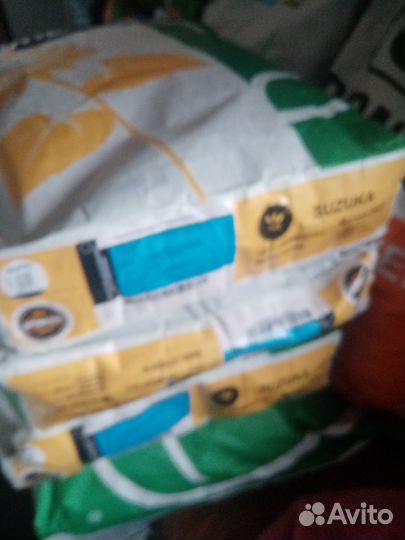 Семена подсолнечника гибрид