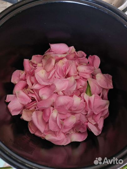 Лепестки роз