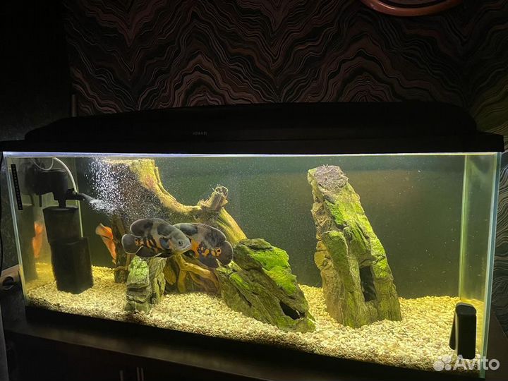 Аквариум бу