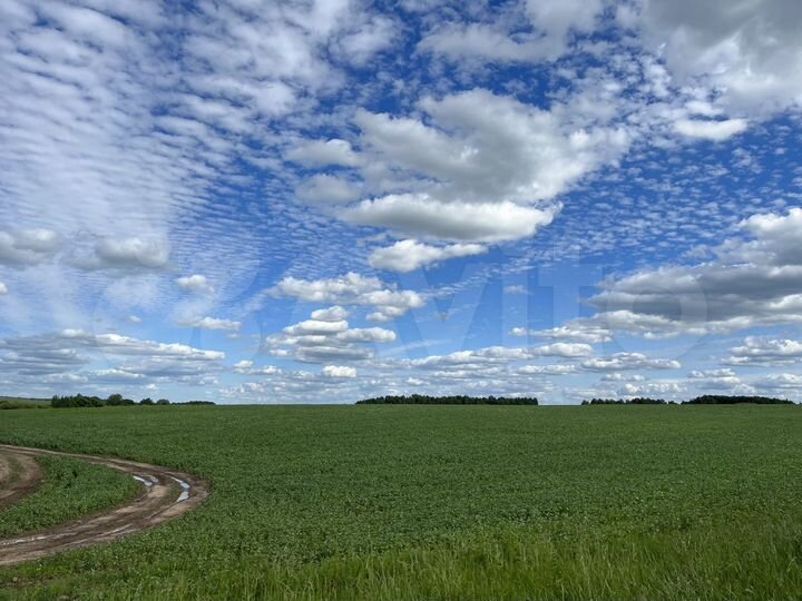 Участок 28,6 га (СНТ, ДНП)