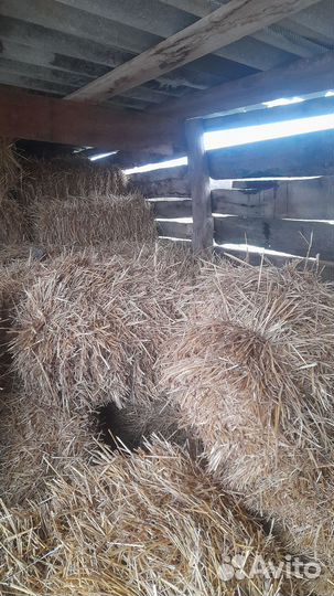 Солома в тюках