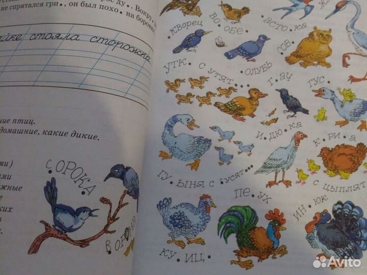 Я пишу правильно. Книга