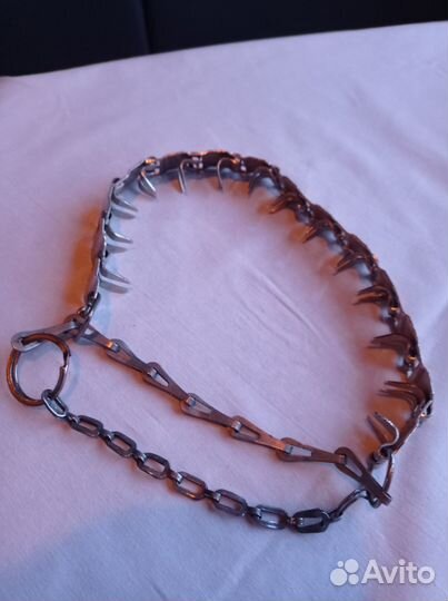 Строгий ошейник