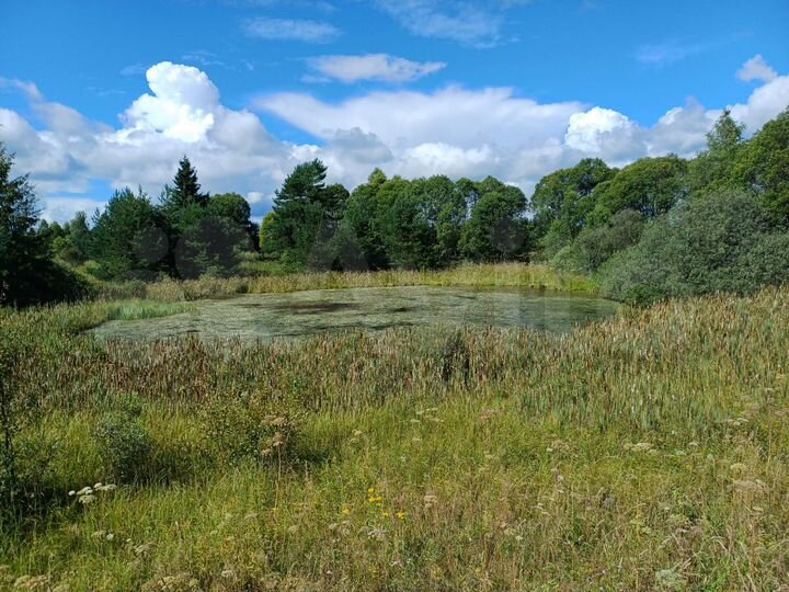 Участок 3,32 га (СНТ, ДНП)