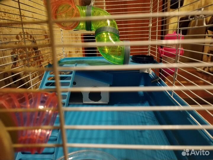 Клетка для хомяка большая