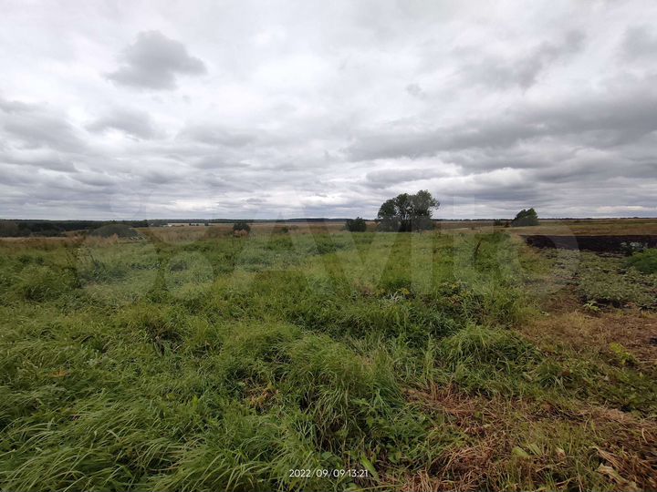 Участок 33 сот. (ИЖС)