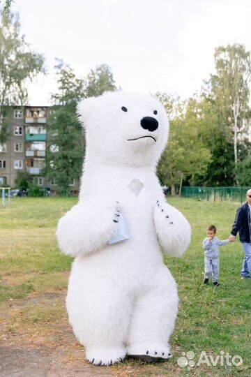 Ростовые медведи(Белый медведь и тедди)