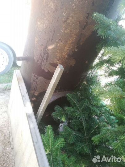 Котел для бани