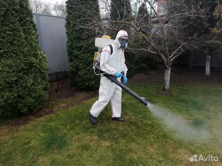 Травим тараканов, клопов, клещей, блох и др