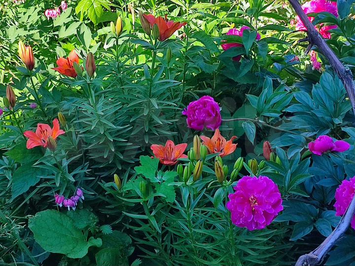 Дом 75 м² на участке 50 сот.