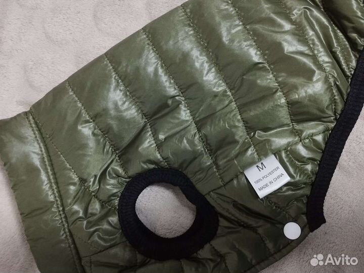 Для собачки: курточка и ошейник светящийся