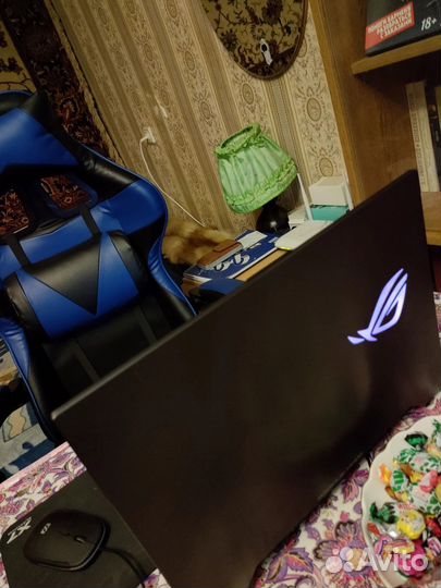 Игровой ноутбук asus ROG GL504 (GTX1070 8Гб)