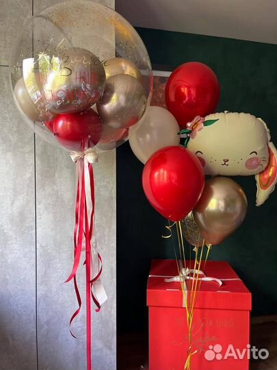 Воздушные шарыфотозонытомск