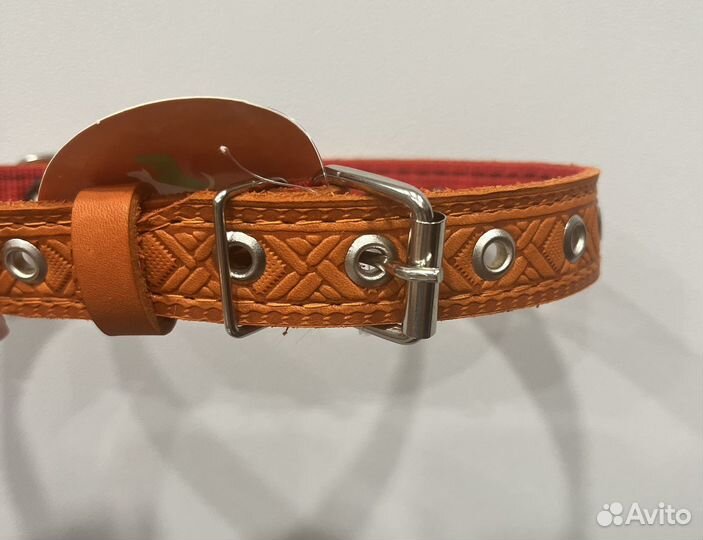 Ошейник для крупной собаки