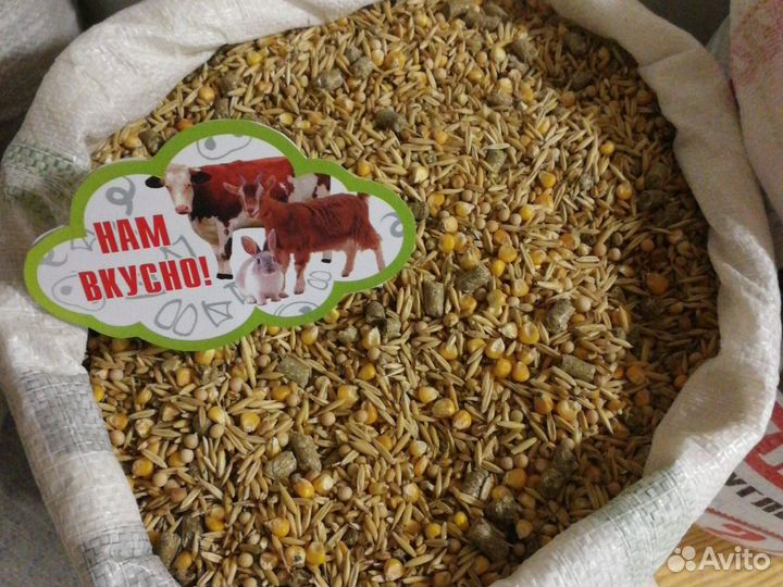 Зерносмесь 