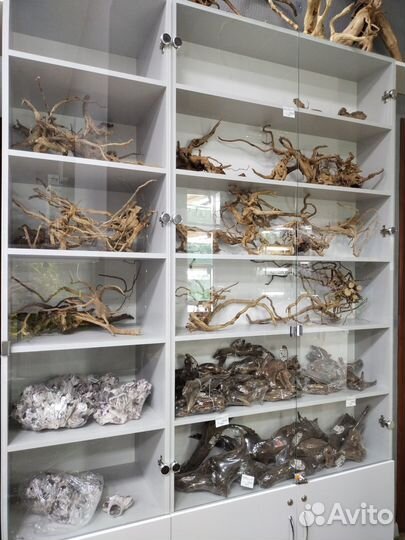 Аквариумный фильтр - aquael asap - от 50 - 300 л/ч