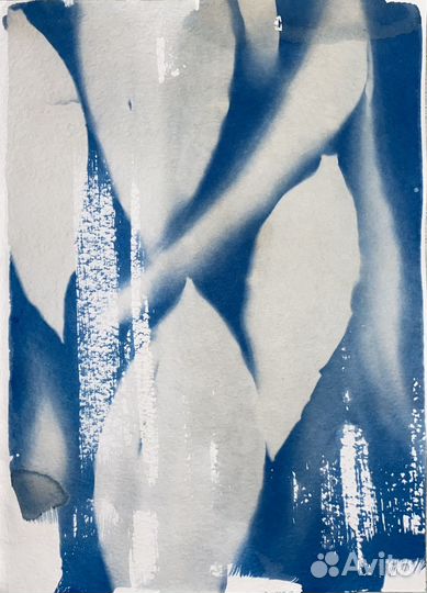 Открытки и постеры с цветами, цианотипия