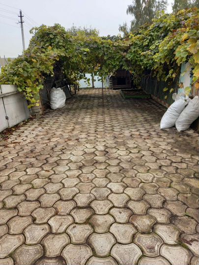 Дом 101 м² на участке 14 сот.