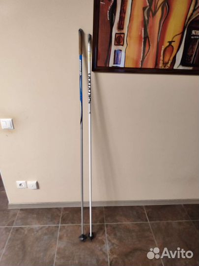 Лыжные палки