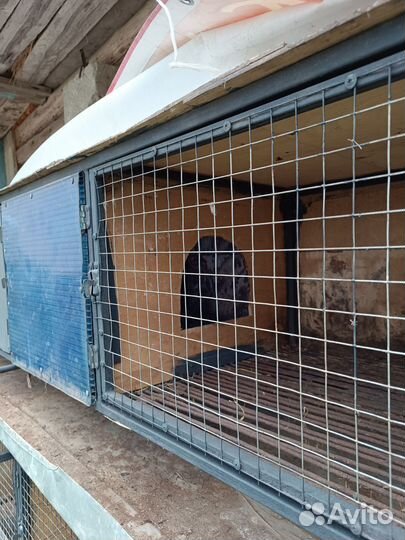 Клетка для кроликов