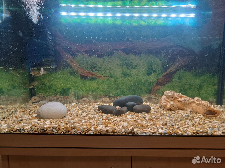 Аквариум 100л с тумбой
