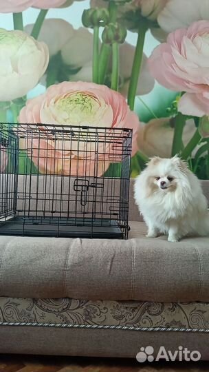 Клетка для собак