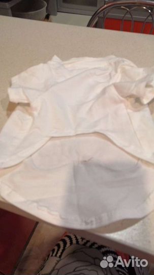 Одежда для собак